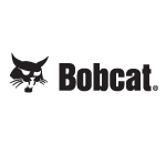 Bobcat